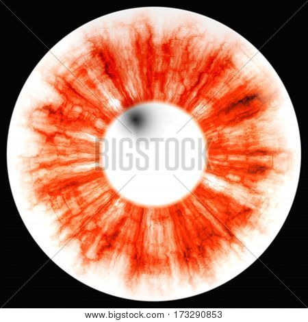 Eye Rtg. Illustration Of Human Eye In Rentgen Photo