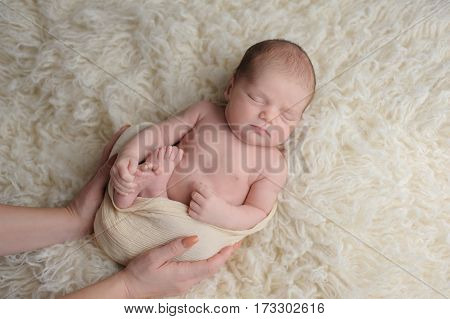 Sleeping two week old newborn baby boy swaddled in a cream colored wrap. He is being comforted by his mother's hands. Shot in the studio on a flokati rug background.