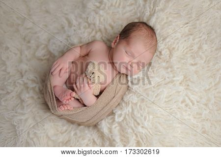 Two week old newborn baby boy swaddled in a beige wrap. He is sleeping on a white flokati rug and holding a plush bear toy.