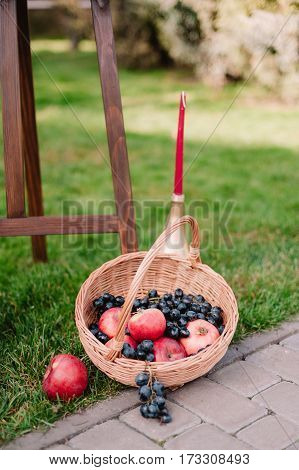 Autumnal Composition Of Red Apples And Dark Blue Grape In Wooden Box On Grass