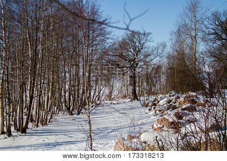St. Petersburg, Sestroretsk -26.02.2017: Sestroretsk, the Gulf of Finland in winter