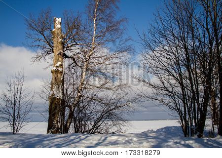 St. Petersburg, Sestroretsk -26.02.2017: Sestroretsk, the Gulf of Finland in winter