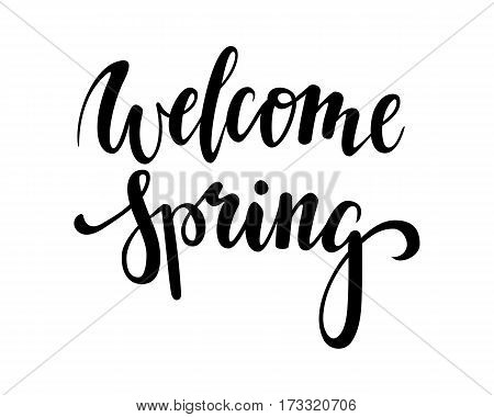 welcome Spring. Hand drawn calligraphy and brush pen lettering. design for holiday greeting card and invitation of the Valentine's day Happy mother day birthday Easter and other seasonal spring holiday
