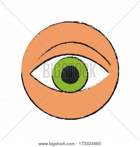 eye icon over white background. vecotr illustration