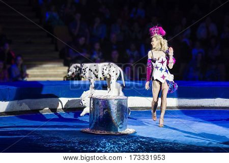 Beautiful woman dog trainer show at the circus.