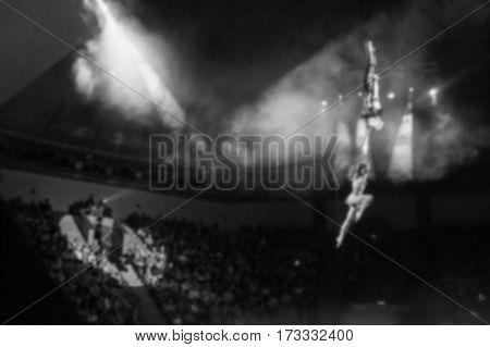 Stunt aerialists men and women in the circus. Love, danger, and romance concept.