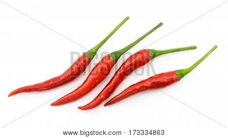 Hot chili pepper or small chili padi line up isolated on white background
