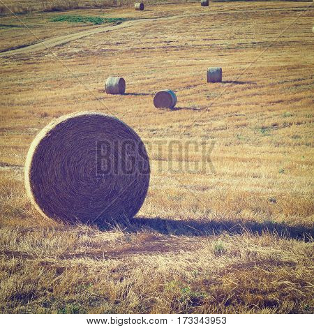 Dirt Road across the Fields with Many Hay Bales in Tuscany Italy Instagram Effect