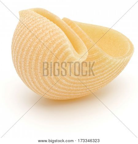 Italian lumaconi isolated on white background. Lumache, snailshell shaped pasta.