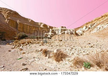 Rocky Hills of the Negev Desert in Israel Sunset