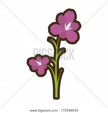 cartoon amaryllis flower decoration beautiful vector illustration eps 10