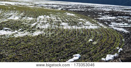 view sown fields southern Bohemia Czech Republic