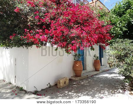 door architecture detail in house building with bougainvillea Greece