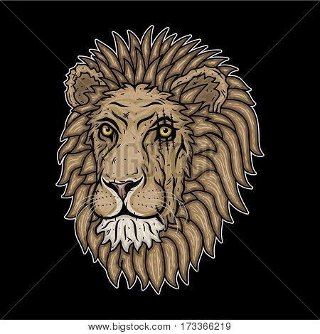 lion's head on a black background. Vector illustration