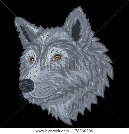 Wolf head on a black background. Vector illustration