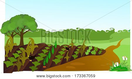 The arable field,the earth, the forest belt.