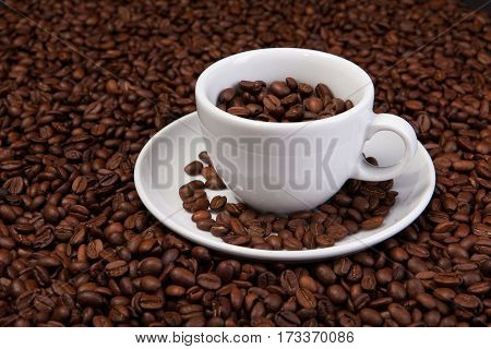 white cup of coffee beans at coffee beans