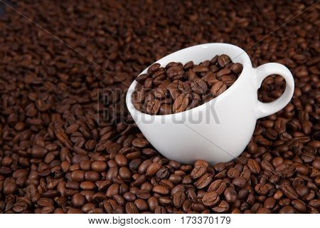 white cup of coffee beans at coffee beans