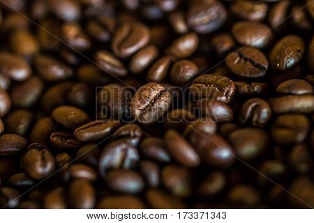 Selective Focus Of Brown Roasted Coffee Bean
