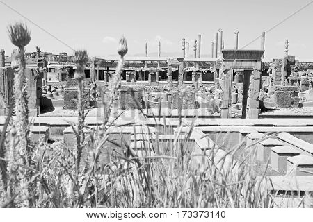 In Iran   Persepolis