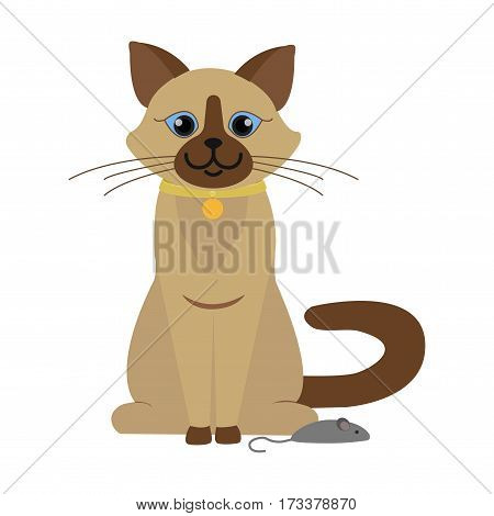 Cat Vector Illustration