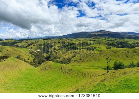 jungle in colombian green mountains colombia latin america