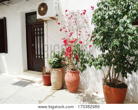 door architecture detail in house building with bougainvillea Greece