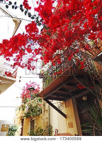 door architecture detail in house building with bougainvillea Greece