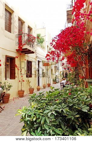 door architecture detail in house building with bougainvillea Greece
