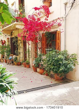 door architecture detail in house building with bougainvillea Greece