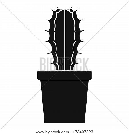 Cactaceae cactus icon. Simple illustration of cactaceae cactus vector icon for web