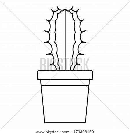 Cactaceae cactus in a pot icon. Outline illustration of cactaceae cactus in a pot vector icon for web