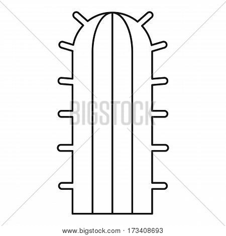 Cactus plant icon. Outline illustration of cactus plant vector icon for web