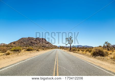 Joshua Tree National Park is a vast protected area in southern California. It's characterized by rugged rock formations and stark desert landscapes.