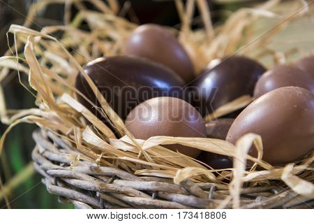 Easter Eggs of milk and dark chocolate in nest