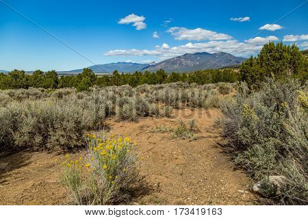A View of a portion of the Kit Carson National Forest in the foothills of the Sangre de Cristo Mountains south Taos New Mexico.