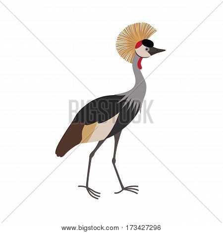 Grey crowned crane Balearica regulorum cartoon isolated on white background. vector illustration
