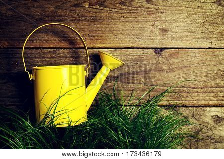 Beautiful Colorful Yellow Watering Can on Green Grass on Wooden Background. Top View with Copy Space.