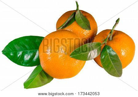 Tangerines with leaves isolated on white background