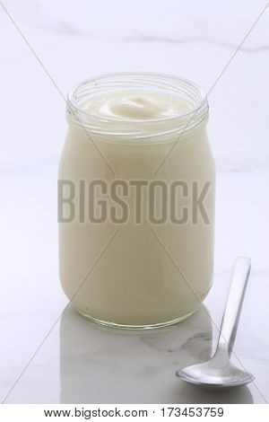 Plain French Style Yogurt