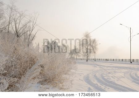 Gorgeous frost on the trees. Winter forest at sunrise in the bitter cold