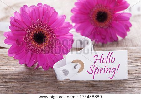 Label With English Text Hello Spring. Pink Spring Gerbera Blossom. Vintage, Rutic Or Aged Wooden Background. Card For Spring Greetings.