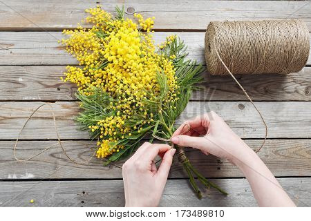 Woman hands make bouquet of mimosa. bandages twine and Gardening scissors on rustic wooden table.