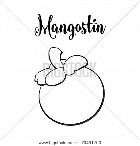 Whole unpeeled, uncut purple mangosteen, mangostin tropical fruit, sketch style vector illustration isolated on white background. Realistic hand drawing of whole mangosteen fruit