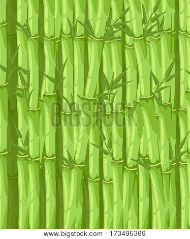 Bamboo with leaf vector illustration. Asian bambu zen plants background.