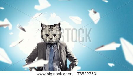 Businessman with cat head    . Mixed media