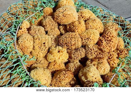 Natural sponges in netting on the quayside Heraklion Crete Greece Europe.