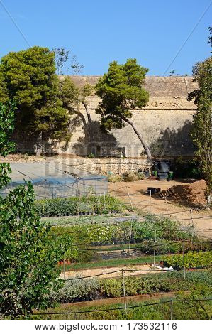 Part of the Venetian city defence wall with a garden in the foreground Heraklion Crete Greece Europe.