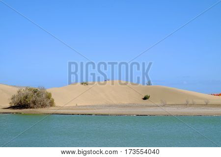 Dunes of Maspalomas and Natural Reserve La Charca on the Canary Island Gran Canaria, Spain.