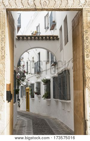Cordoba (Andalucia Spain): old typical street in the Juderia with plants and flowers
